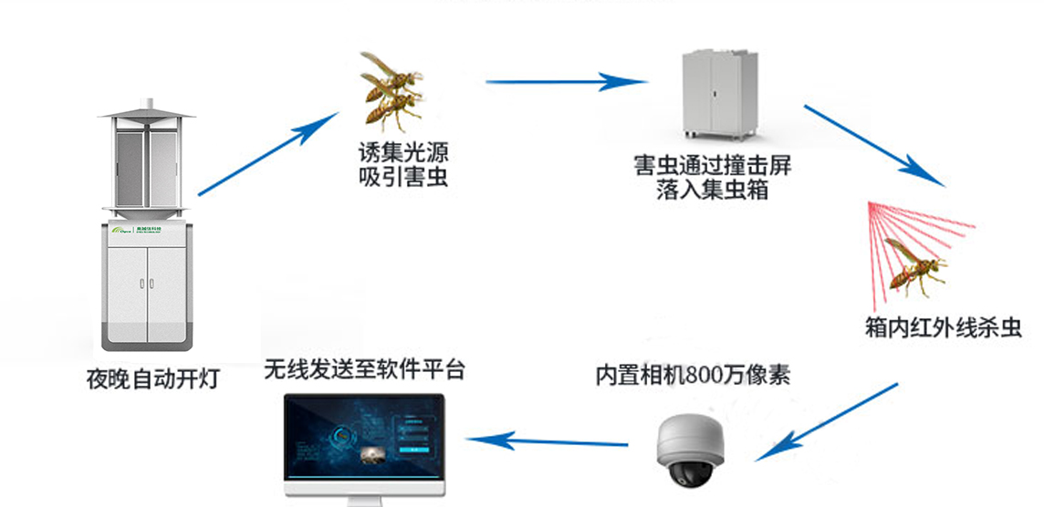 物聯(lián)網(wǎng)蟲情測(cè)報(bào)系統(tǒng)